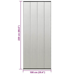 Zanzariera Porta con Tenda in Rete Nera 100x220 cm Poliestere 148710