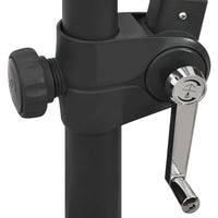 Ombrellone a Sbalzo con Palo e Luci a LED Nero 300 cm 312340