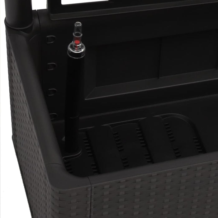 Fioriera aiuola rialzata piante fiori giardino traliccio sistema di irrigazione antracite 02_0001233