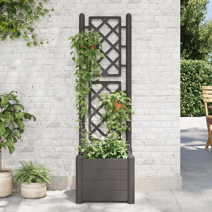 Fioriera da Giardino con Graticcio 43x43x142 cm PP Antracite