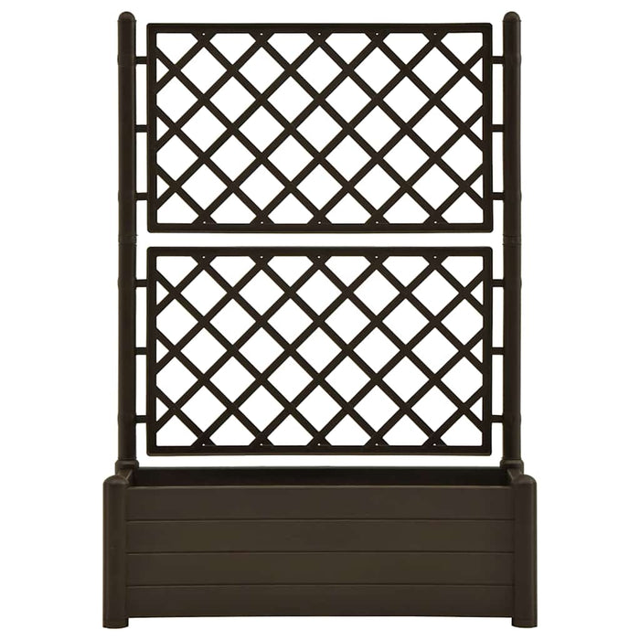 Fioriera da Giardino con Graticcio 100x43x142 cm PP Moca