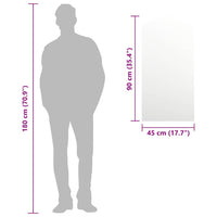 Specchio 90x45 cm in Vetro 326089