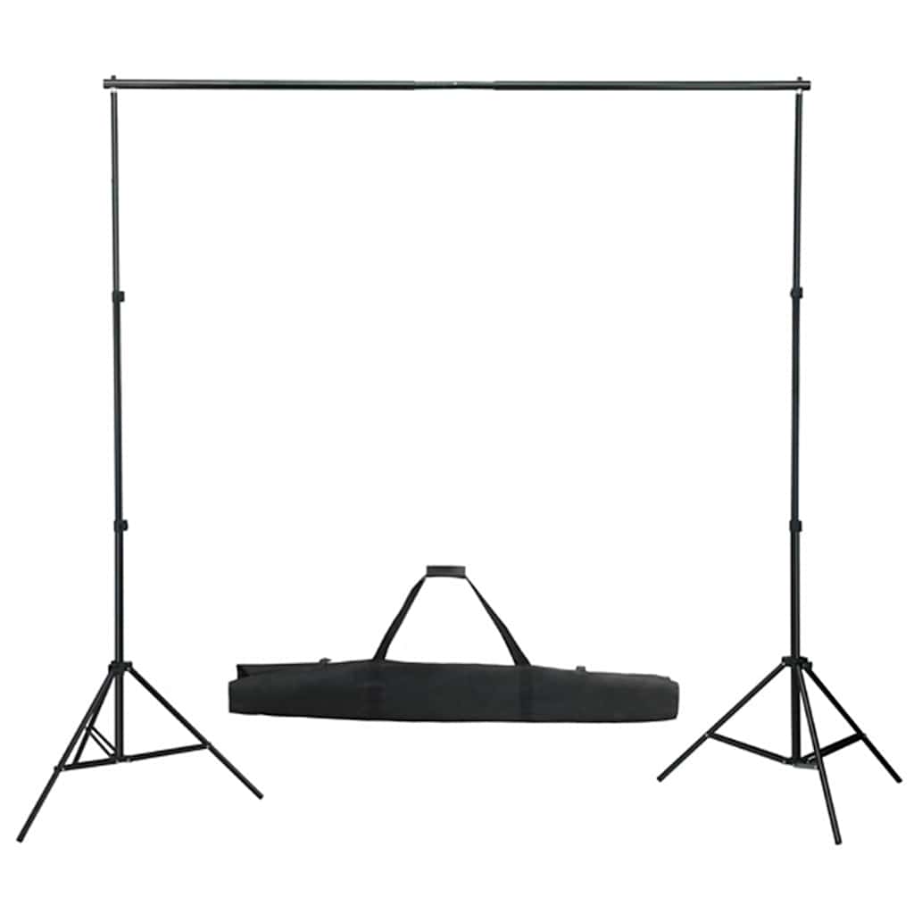 Kit per Studio Fotografico con Set Luci, Fondale e Riflettore 3067051