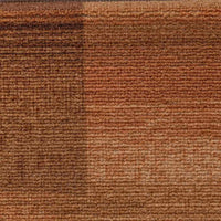 Tappetini per Scale Autoadesivi 10pz 65x21x4 cm Marroni 149837