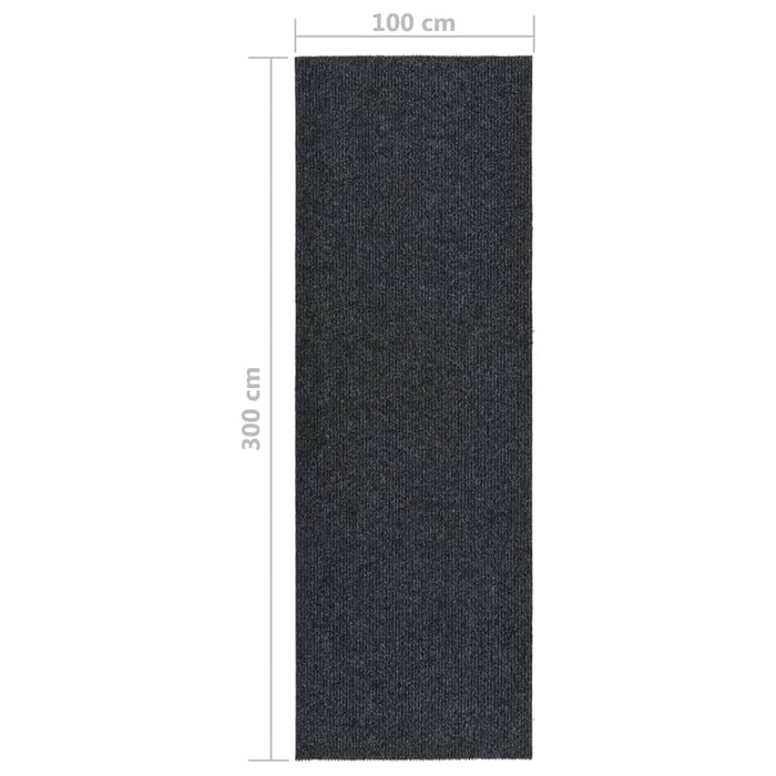 Tappeto Corsia Acchiappa Polvere 100x300 cm Antracite 327169