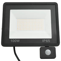 Faretto a LED con Sensore 100 W Bianco Caldo cod mxl 65255