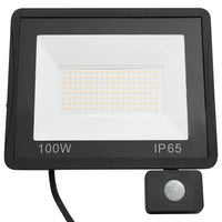 Faretto a LED con Sensore 100 W Bianco Freddo