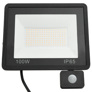 Faretto a LED con Sensore 100 W Bianco Freddo