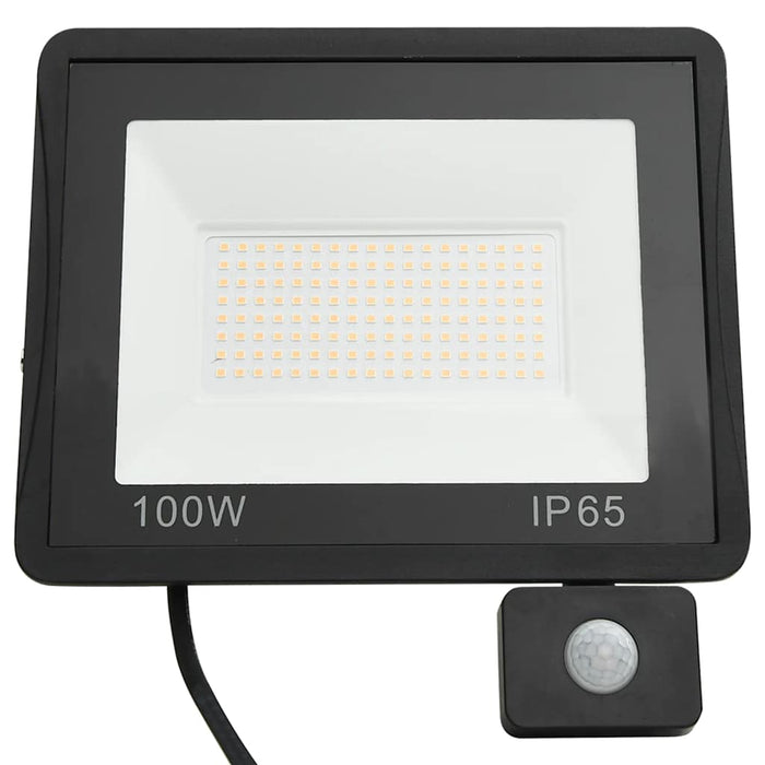 Faretto a LED con Sensore 100 W Bianco Freddo