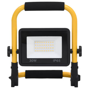 Faretto a LED con Maniglia 30 W Bianco Freddo