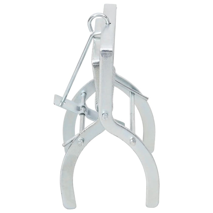 Trappole per Talpe 4 pz Argento Acciaio Zincato 150682