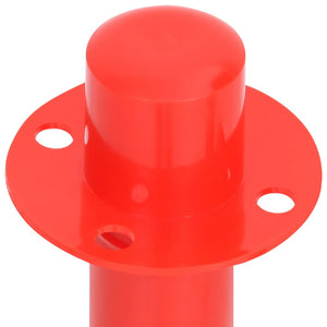 Set di Pali Stradali con Catena in Plastica di 10 m 150954