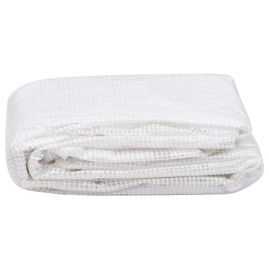 Telo di Ricambio per Serra (4,5 m²) 3x1,5x2 m Trasparente 316434