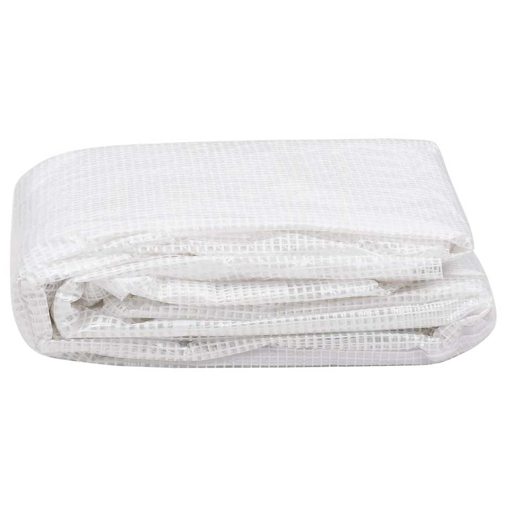 Telo di Ricambio per Serra (36 m²) 3x12x2 m Trasparente 316439