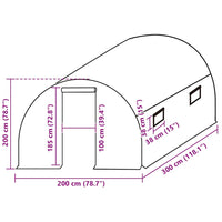Telo di Ricambio per Serra (6 m²) 200x300x200 cm Verde 316442