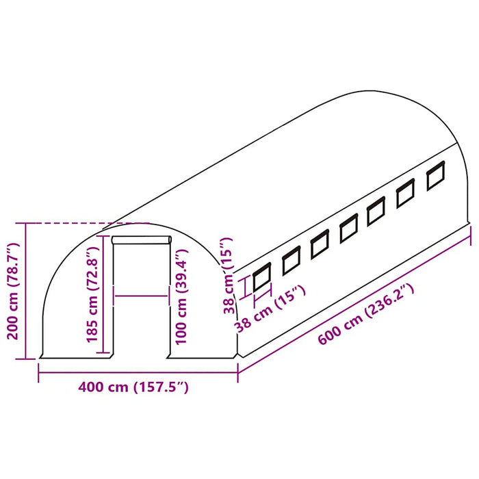 Telo di Ricambio per Serra (24 m²) 400x600x200 cm Verde 316445