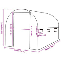 Telo di Ricambio per Serra (6,86 m²) 200x343x200 cm Verde 316448