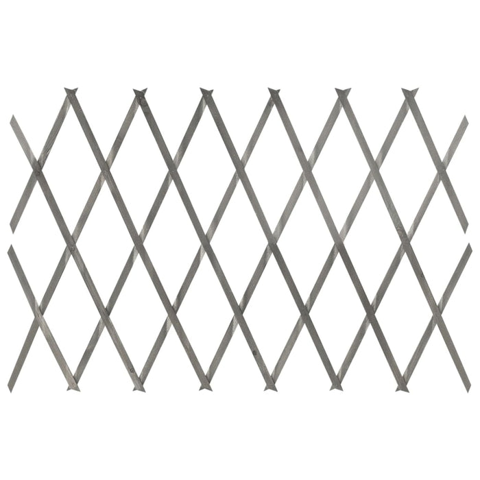 Recinzione a Traliccio 5 pz in Massello Abete Grigio 180x60 cm 316424