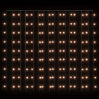 Tenda Luci a Ghiaccioli 3x3m 300 LED Bianco Caldo 8 Funzioni 328925