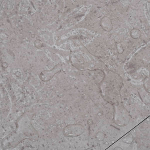 Listoni Autoadesivi in PVC 5,21 mÂ² 2 mm Grigio Terra cod mxl 50906