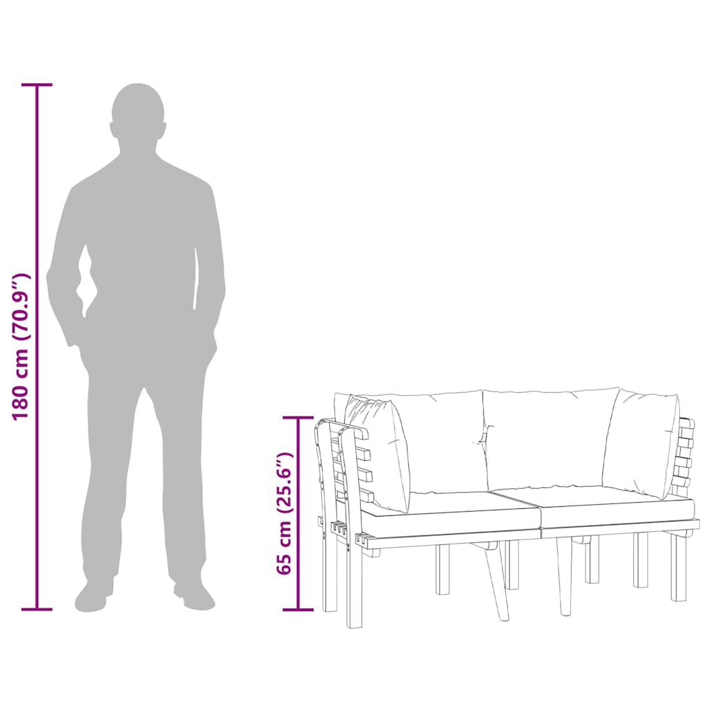 Divano da Giardino a 2 Posti e Cuscini Legno Massello di Acacia 316264