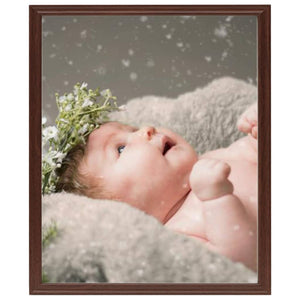 Cornici Foto Collage 5 pz per Tavolo Rosso Scuro 21x29,7 cm 332676