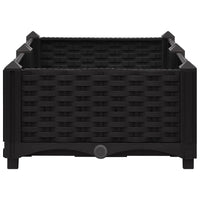 Fioriera rialzata piante fiori giardino 80 x 40 x 23 cm polipropilene 02_0000944