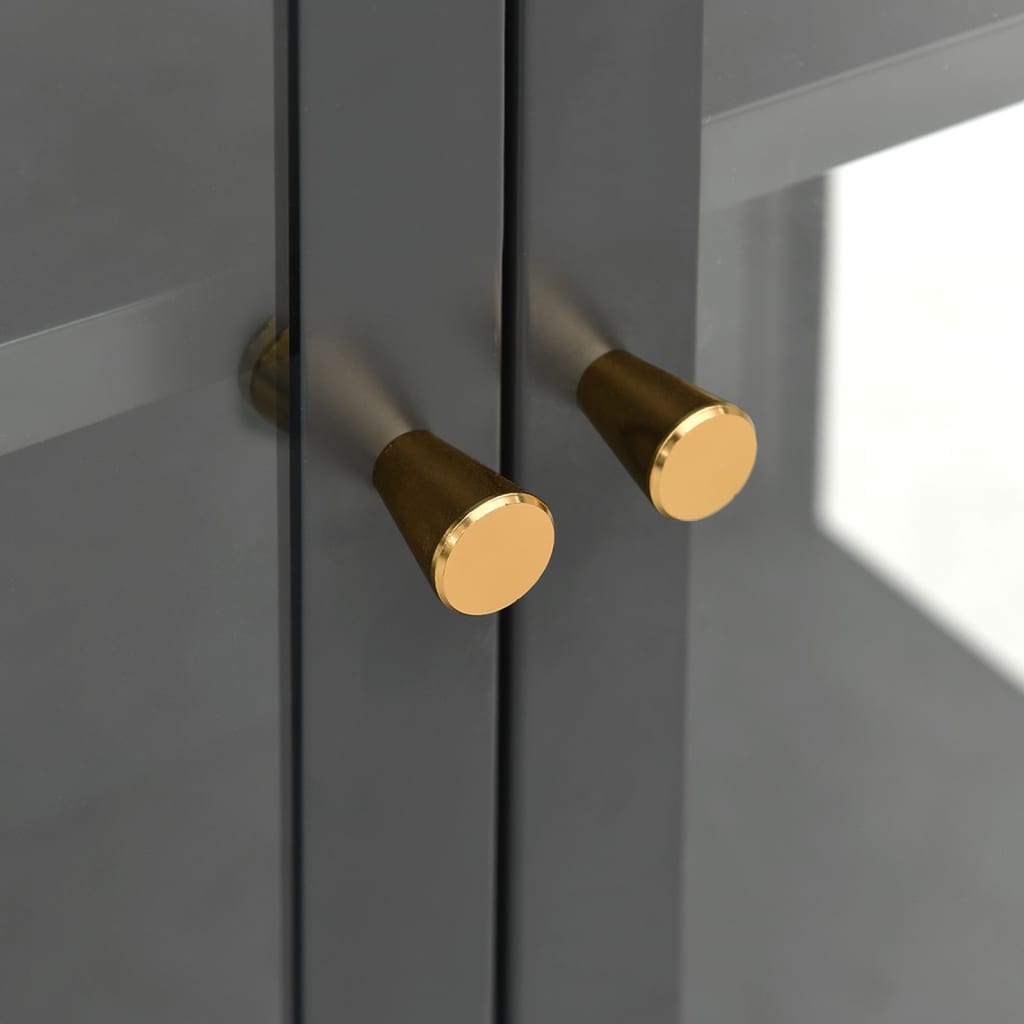 Vetrina Antracite 90x40x180 cm in Acciaio e Vetro Temperato 336081