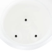 Abbeveratoio Automatico a Goccia per Galline 12 L