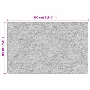 Tappeto Lavabile 190x300 cm Grigio Antiscivolo