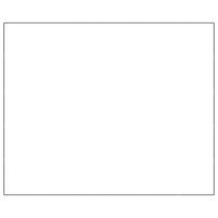 Gabbia per Cani Nera 30 m² in Acciaio 3082158