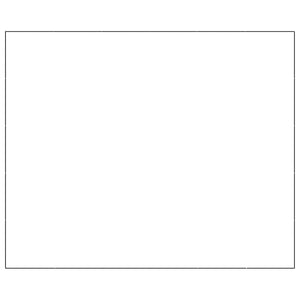 Gabbia per Cani Nera 30 m² in Acciaio 3082158