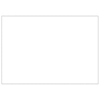 Gabbia per Cani Argento 35 m² in Acciaio 3082165