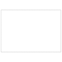 Cuccia da esterno gabbia per cani parco animali argento 35 m² acciaio 02_0000271