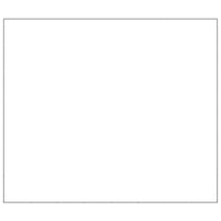 Gabbia per Cani Nera 56 m² in Acciaio 3082180