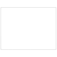 Cuccia da esterno gabbia per cani parco animali argento 63 m² acciaio 02_0000295