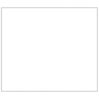 Gabbia per Cani Nera 72 m² in Acciaio