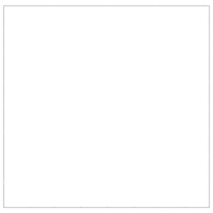 Cuccia da esterno gabbia per cani parco animali argento 64 m² acciaio 02_0000296