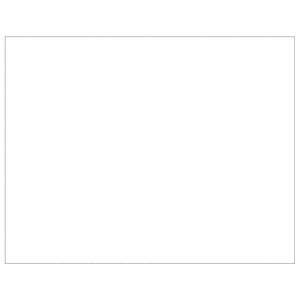 Gabbia per Cani Argento 80 m² in Acciaio 3082192