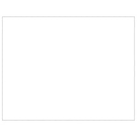 Cuccia da esterno gabbia per cani parco animali argento 80 m² acciaio 02_0000305