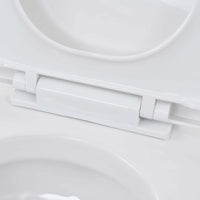 WC Sospeso con Sciacquone Alto Nascosto in Ceramica 3082092