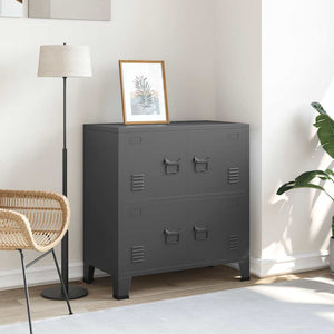 Classificatore Industriale Antracite 75x40x80 cm in Acciaio cod mxl 43468