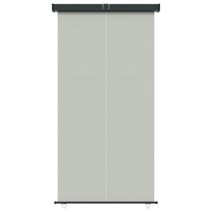 Tendalino Laterale per Balcone 165x250 cm Grigio 317860