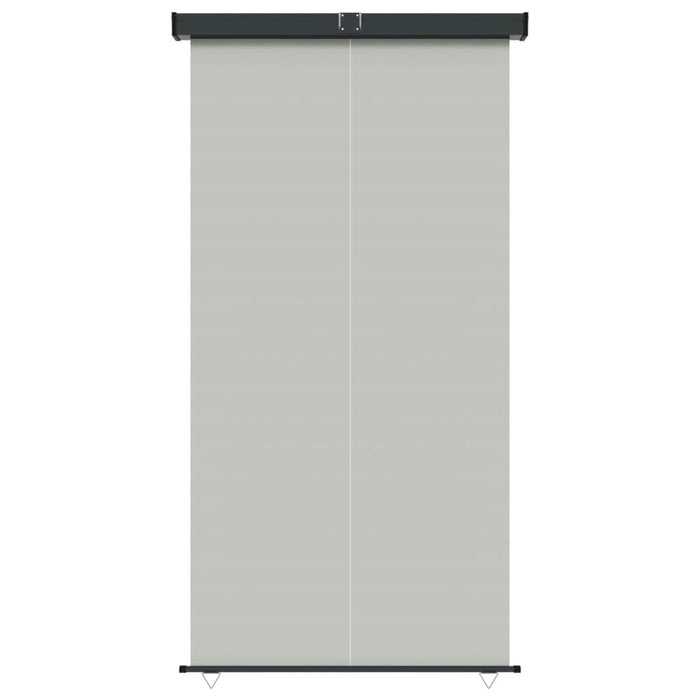 Tendalino Laterale per Balcone 165x250 cm Grigio 317860