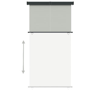 Tendalino Laterale per Balcone 165x250 cm Grigio 317860