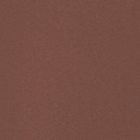 Tenda Laterale Retrattile per Patio 117x600 cm Marrone 317951