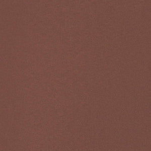 Tenda Laterale Retrattile per Patio 117x600 cm Marrone 317951