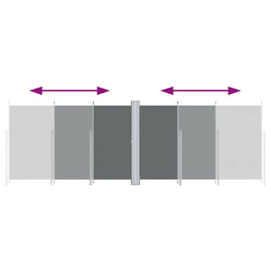 Tenda da Sole Laterale Retrattile Antracite 220x600 cm 318014