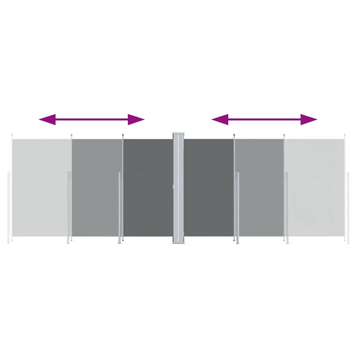 Tenda da Sole Laterale Retrattile Antracite 220x600 cm 318014