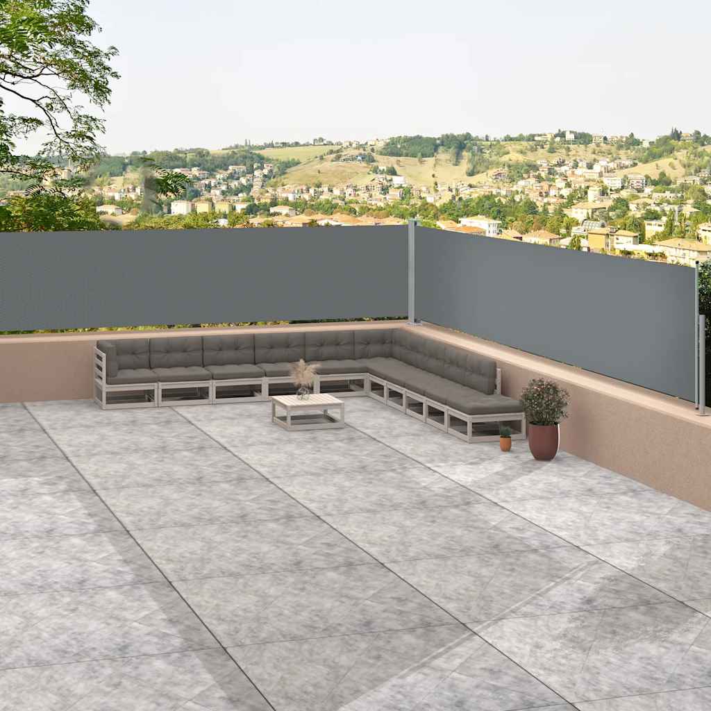 Tenda Laterale Retrattile Antracite 117x1200 cm 318056